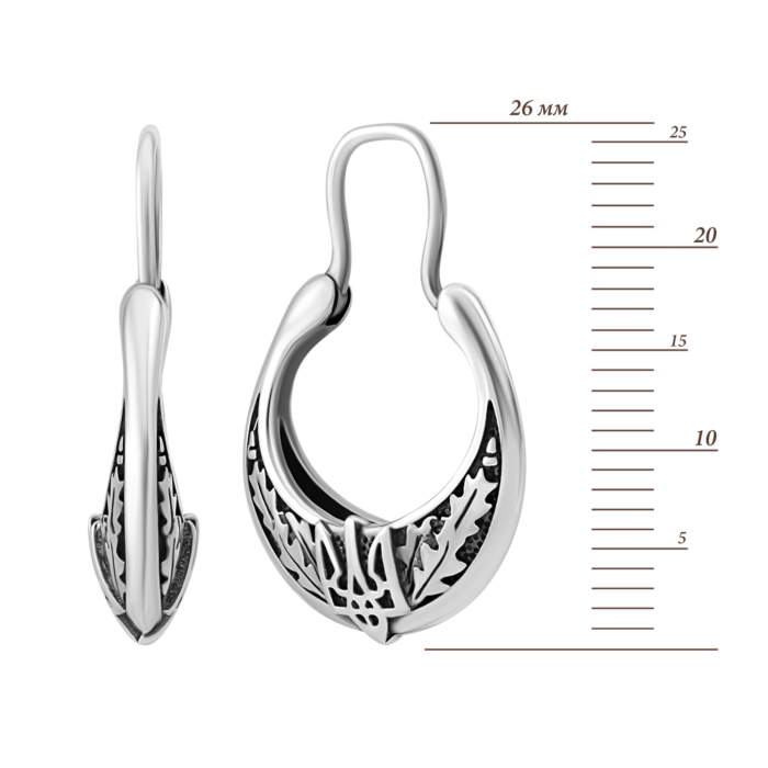 Срібні сережки Герб України. Артикул UG5SZDE17980