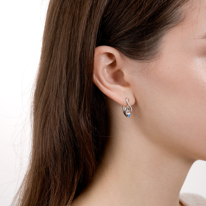 Серебряные серьги. Артикул SZDE15104-E/12/1273